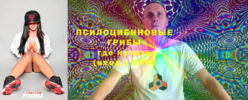 omg ссылка  Карачев  Галлюциногенные грибы Psilocybine cubensis  цены  